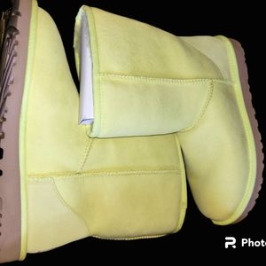 Uggs Classic Short - Size 8 (W) - Celery- NIB
